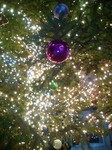 IMG_20171225_172441.jpg