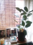 IMG_20200115_123732.jpg